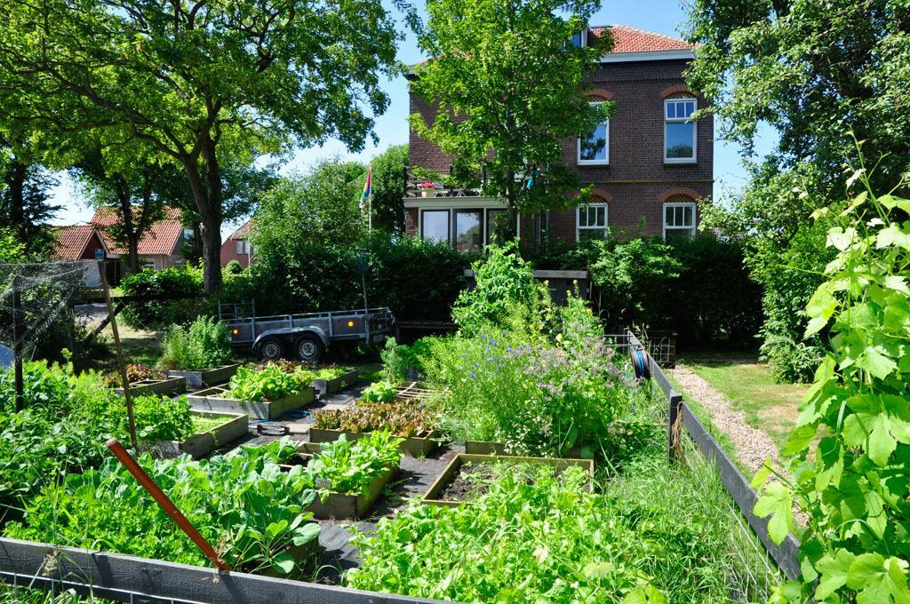 B&B De Postoari Terschelling Hoorn  Exterior foto